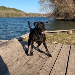 Meet your Posher, Brett